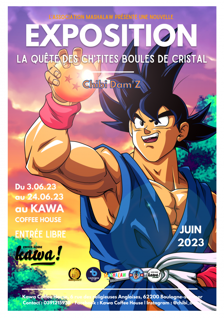 Exposition - La Quête des Ch'tites Boules de Cristal - Chibi Dam'Z - Juin 2023