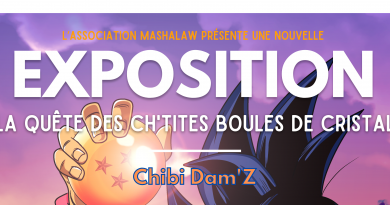 Exposition - La Quête des Ch'tites Boules de Cristal - Chibi Dam'Z - Juin 2023